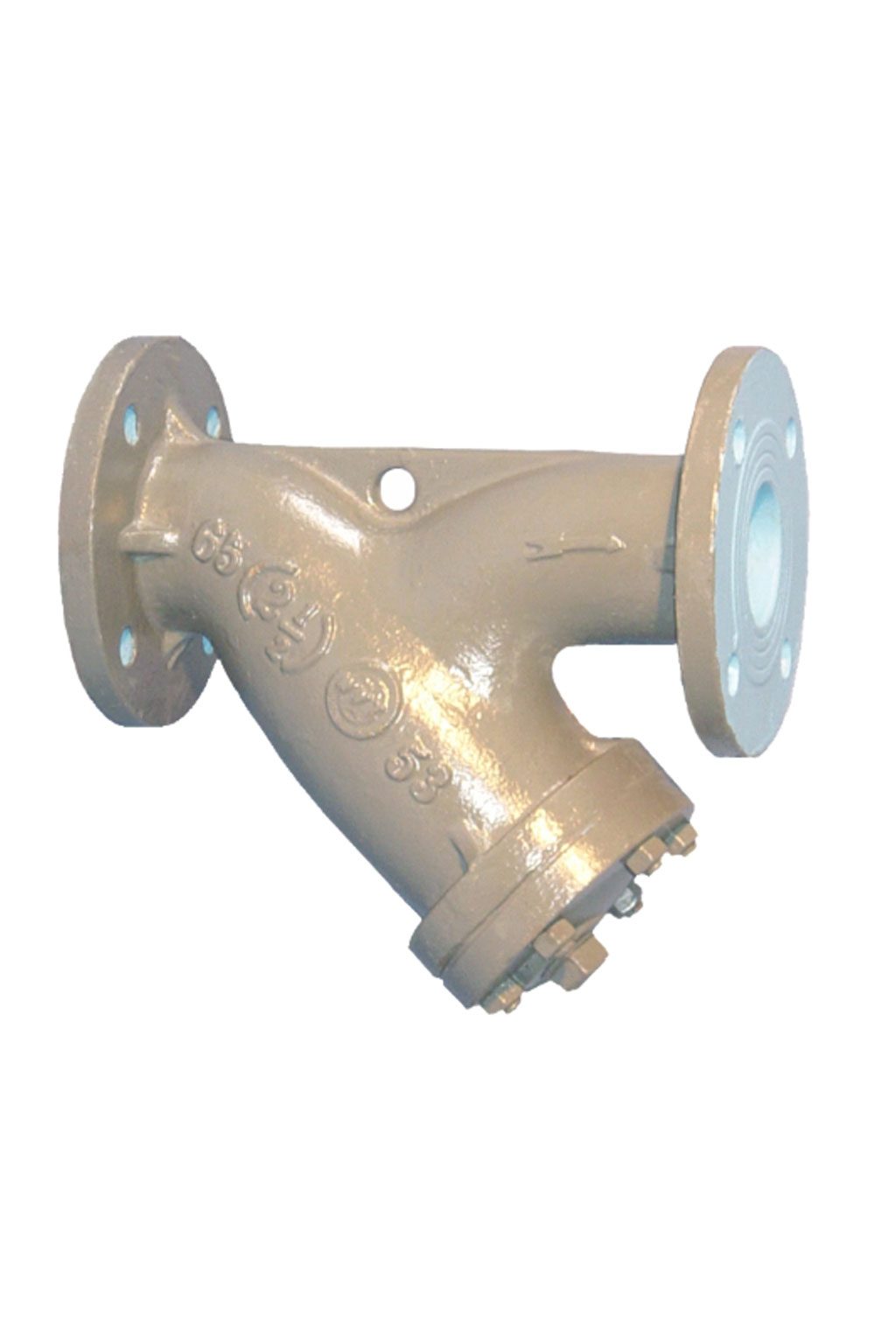 Y-Strainer