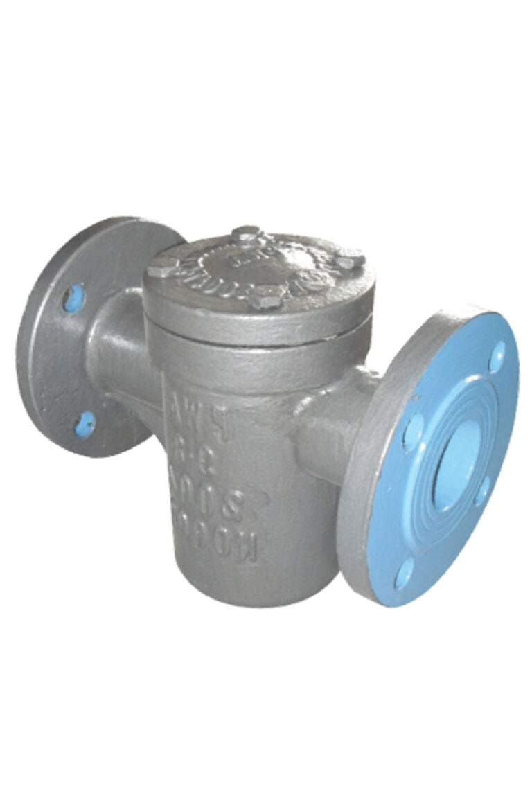 ประตูกรองน้ำ รูปตัวที