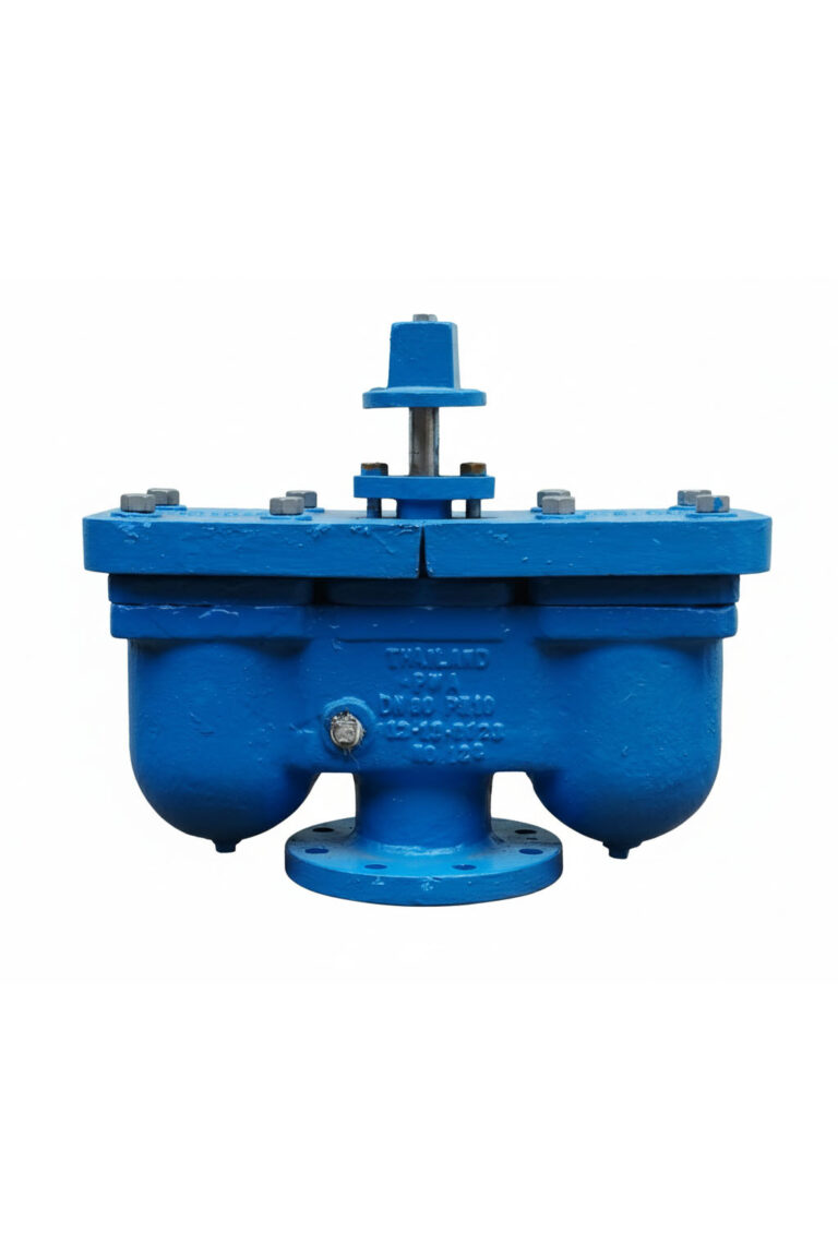 ชนิดลูกลอยคู่